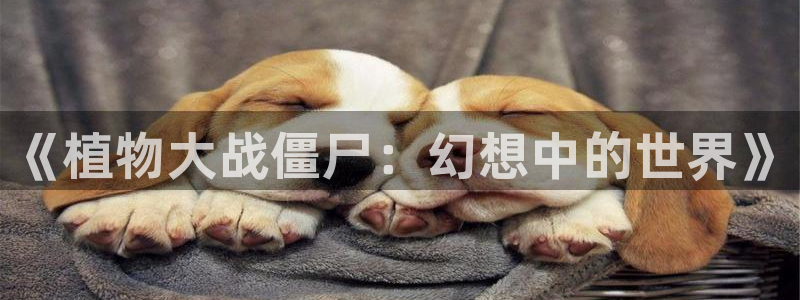 爱看漫画韩漫全